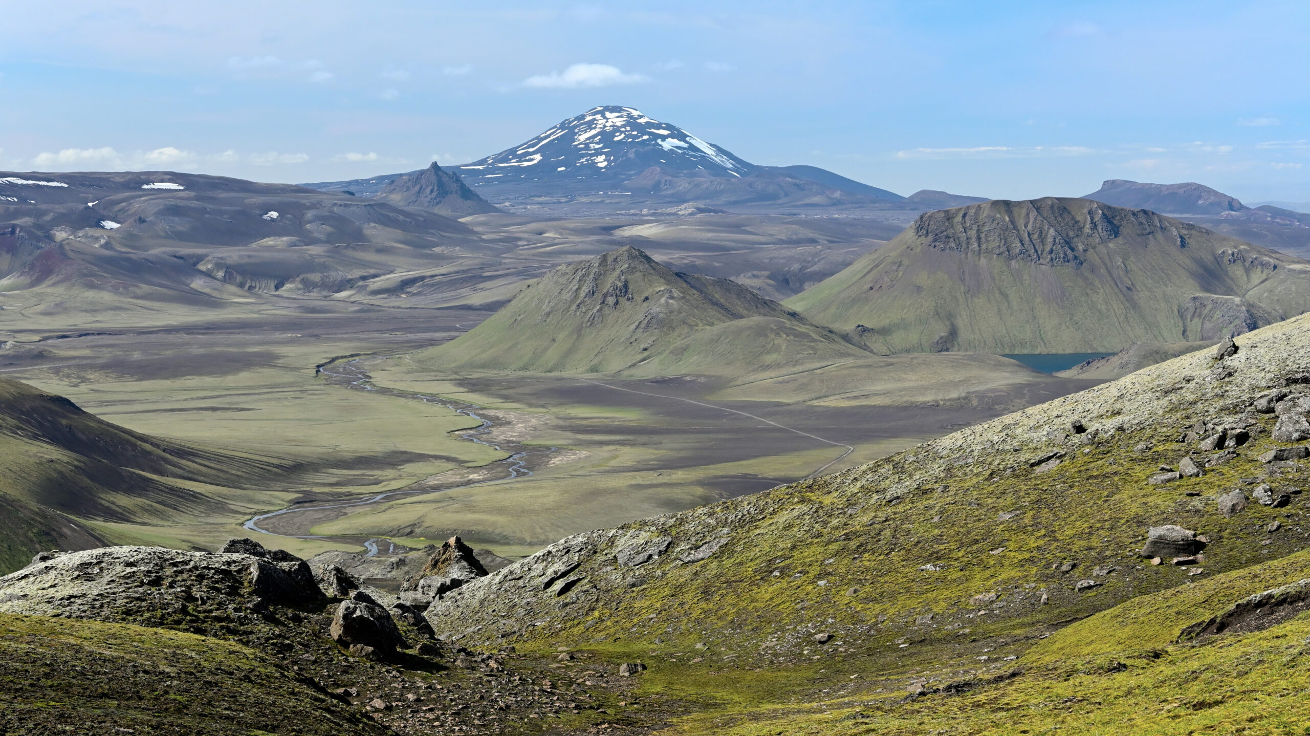 DSC_1344