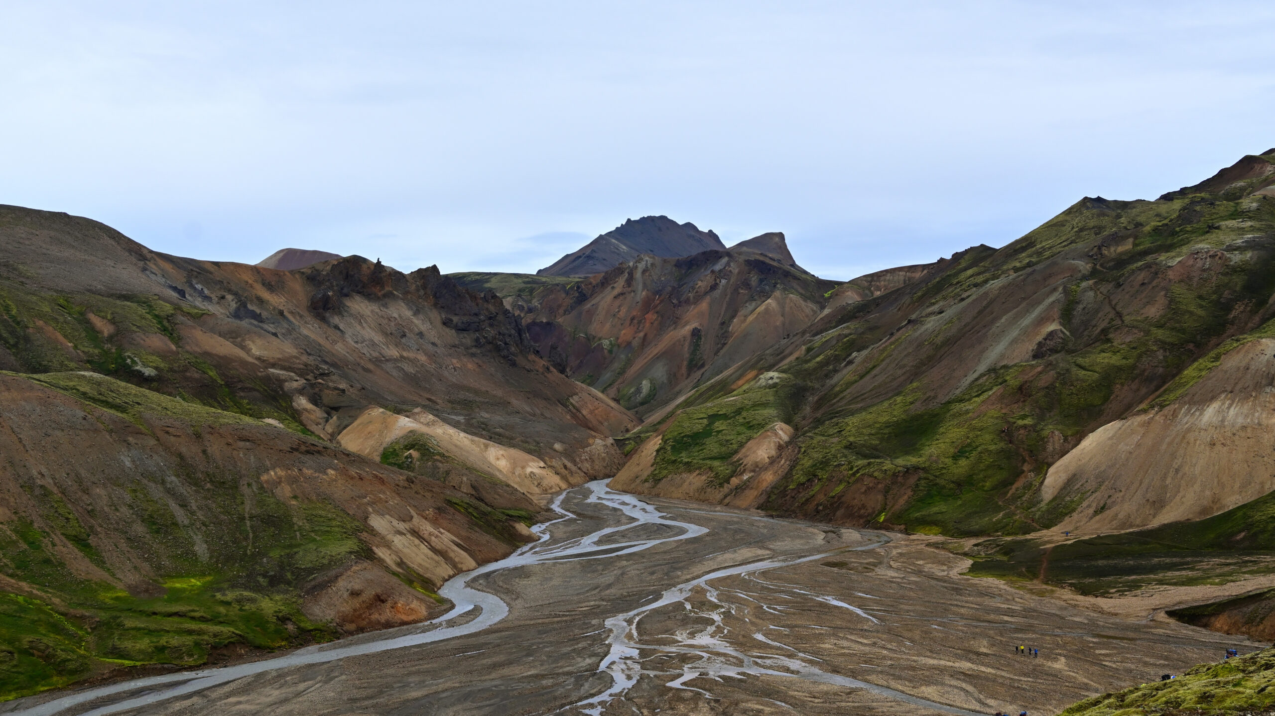 DSC_1438