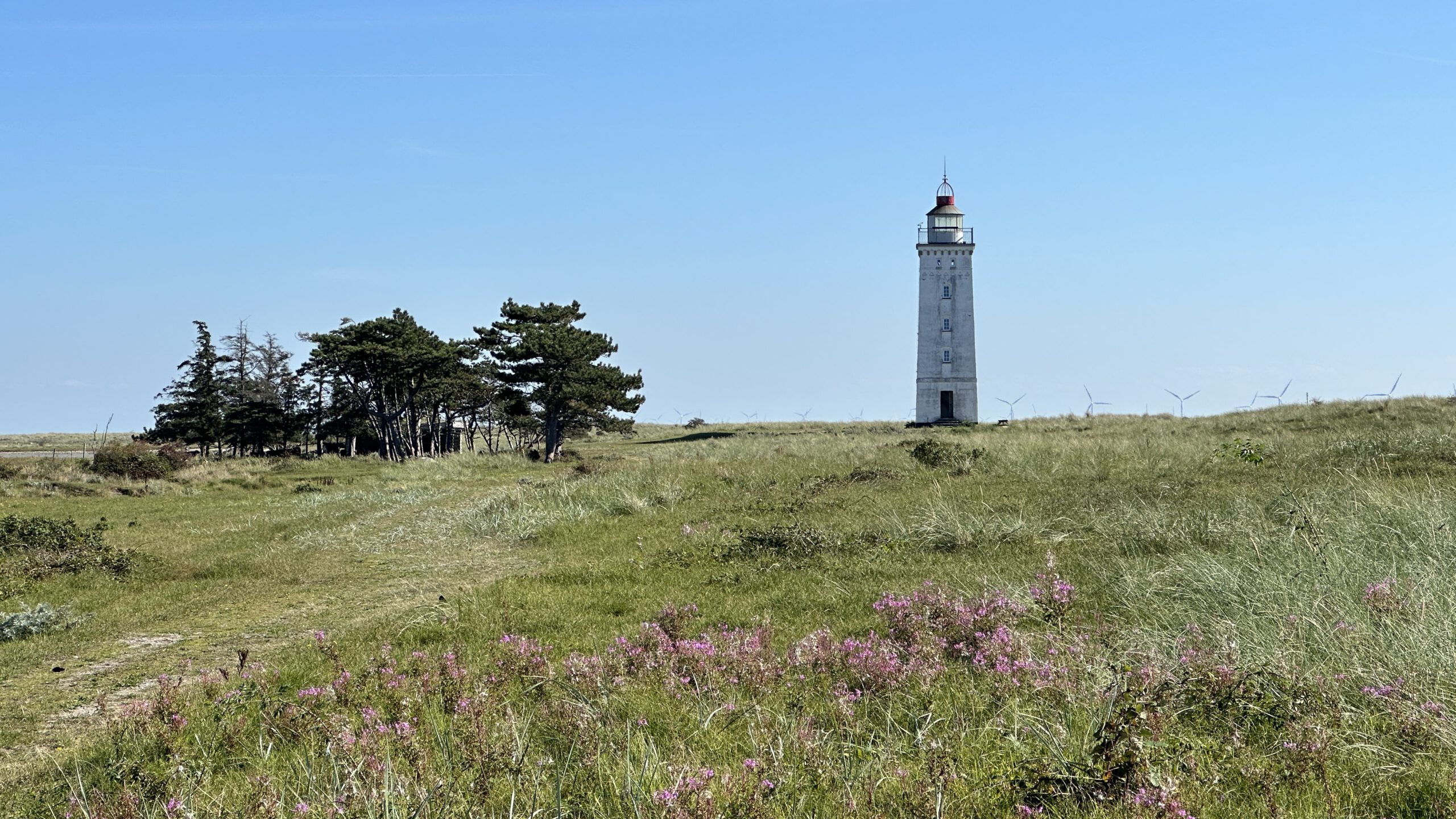 Lolland2