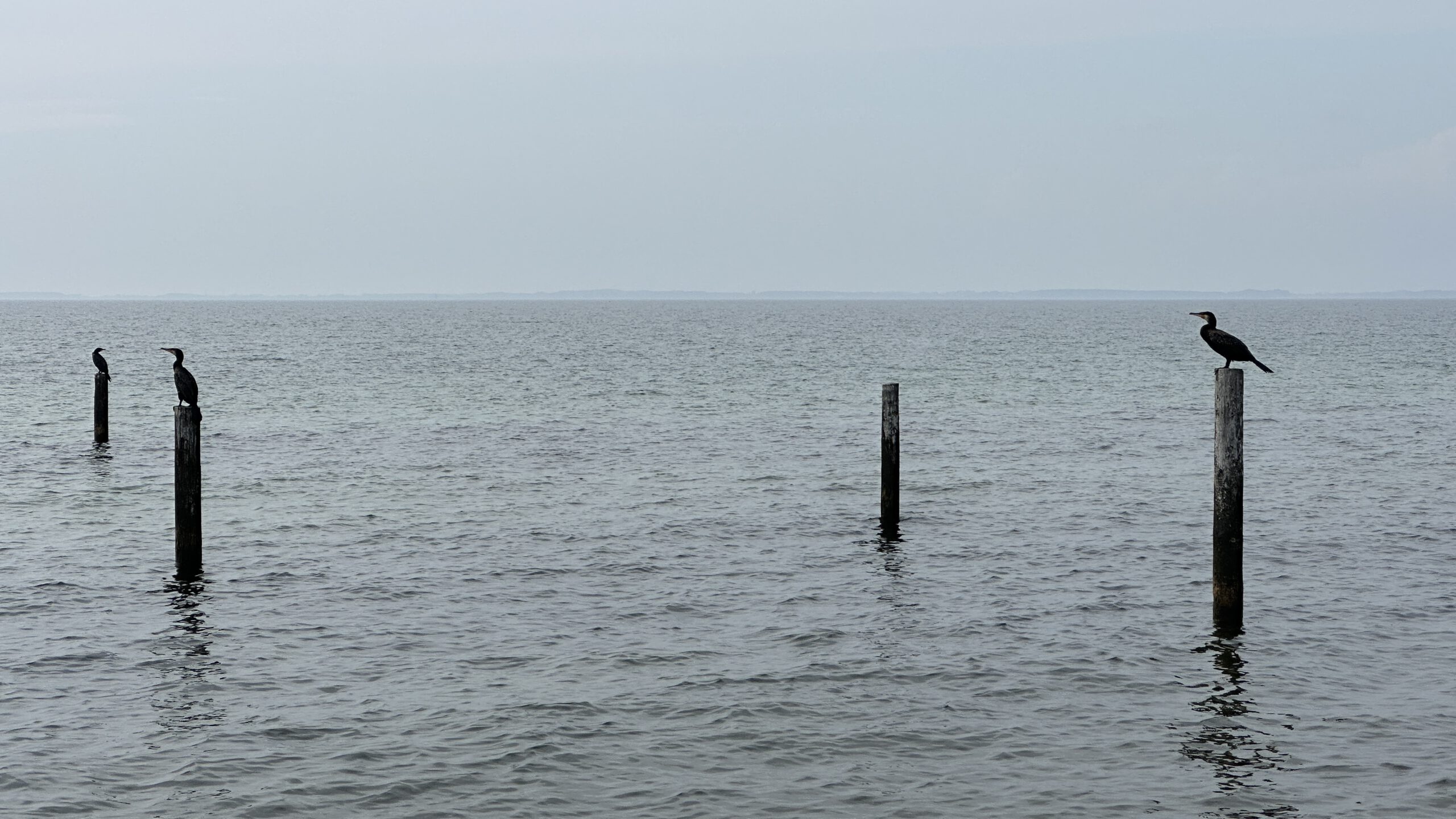 Lolland5