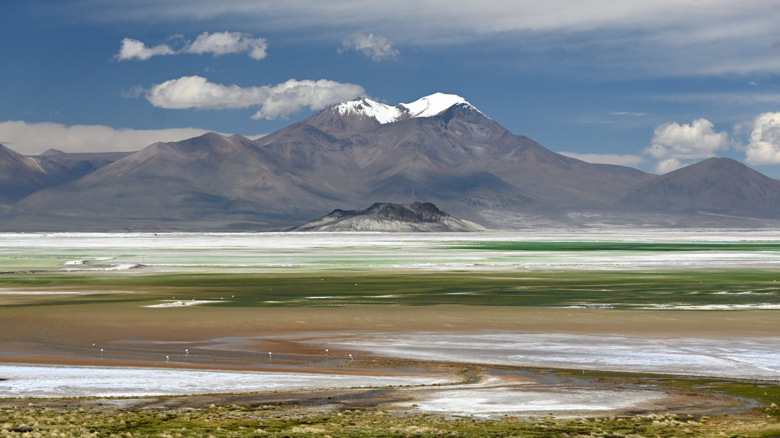 Mehr über den Artikel erfahren Im chilenischen Altiplano