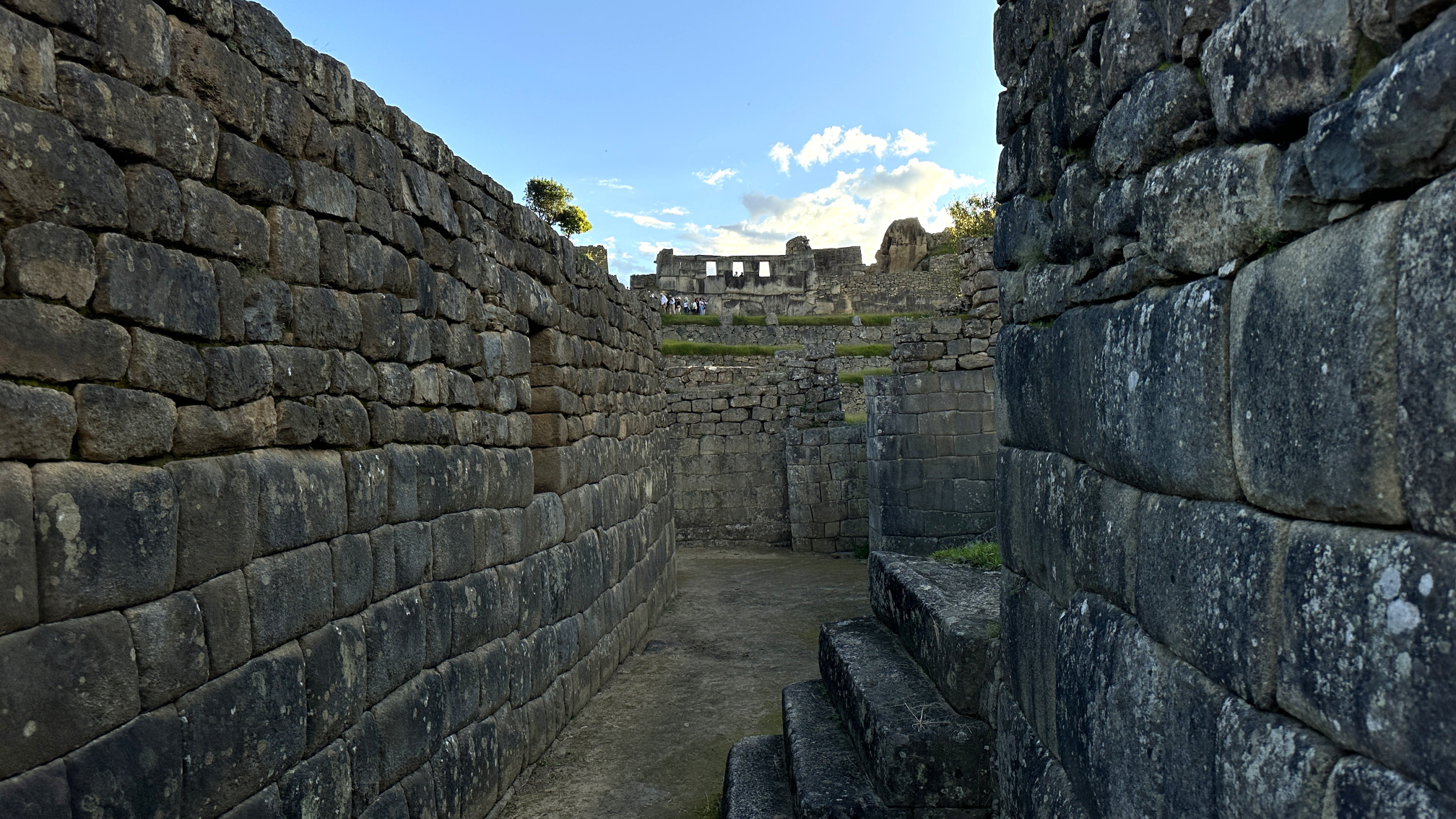 IMG_E9497