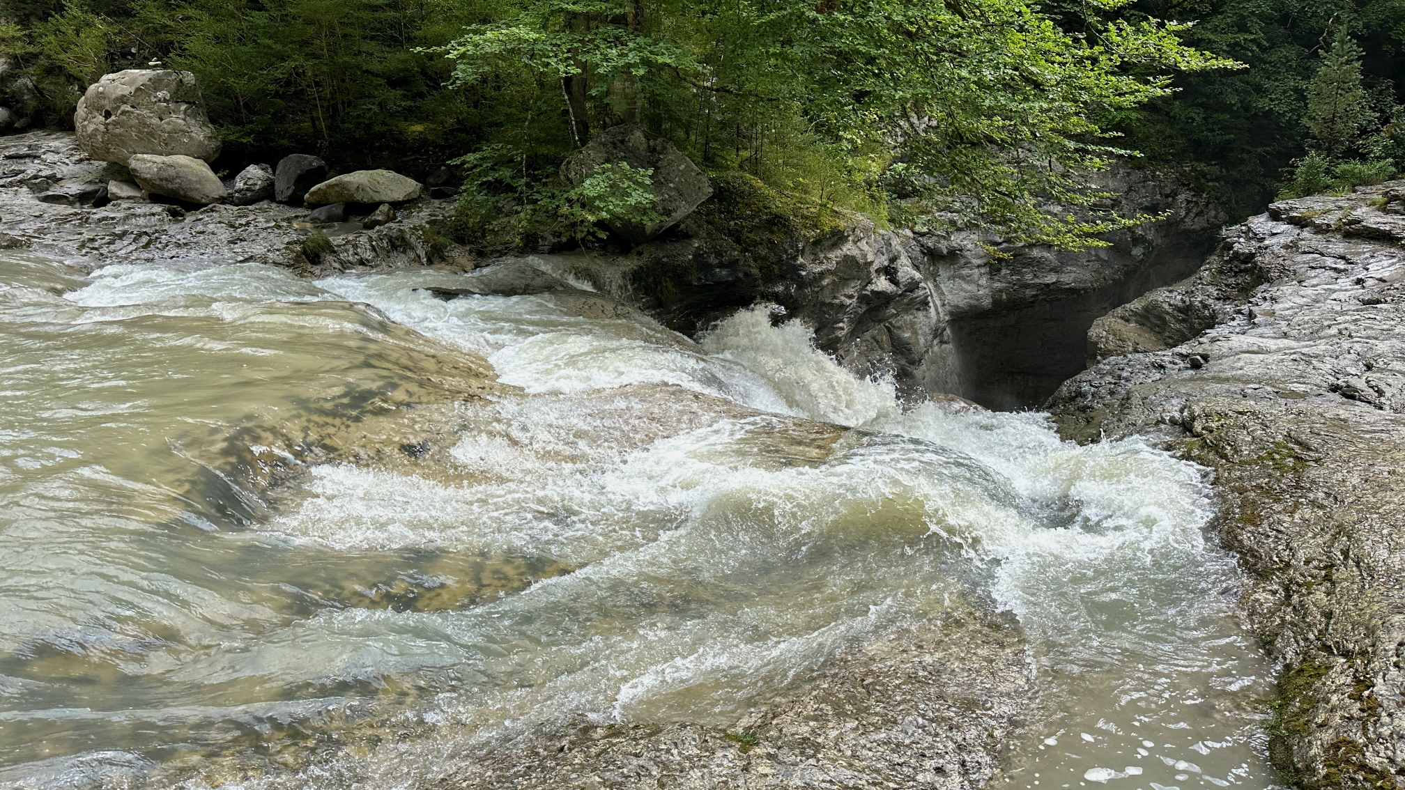 IMG_E2698