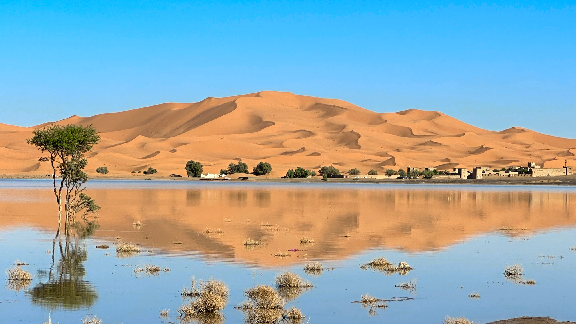Mehr über den Artikel erfahren So stellt man sich die Sahara (nicht) vor