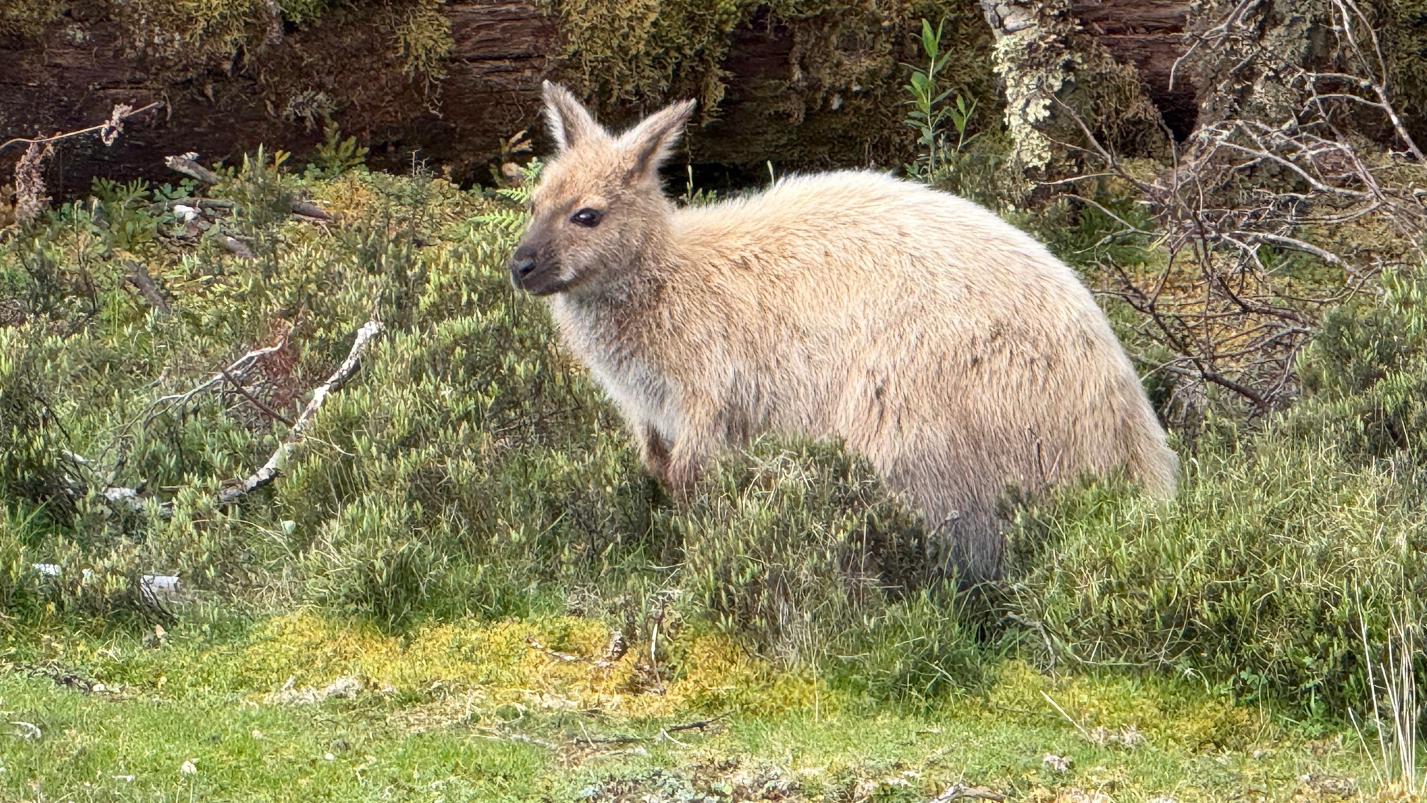 IMG_0302