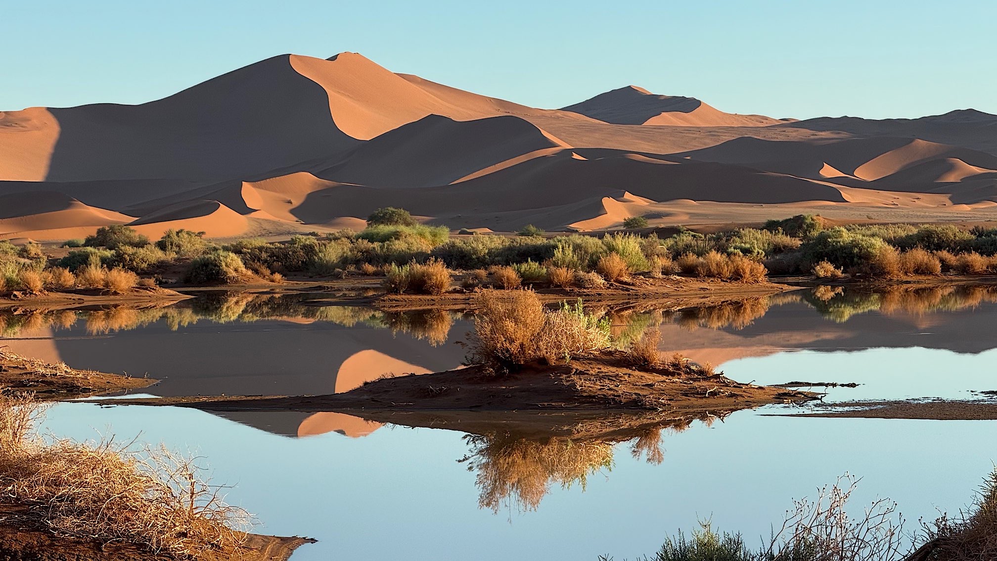 Mehr über den Artikel erfahren Nochmal Sossusvlei