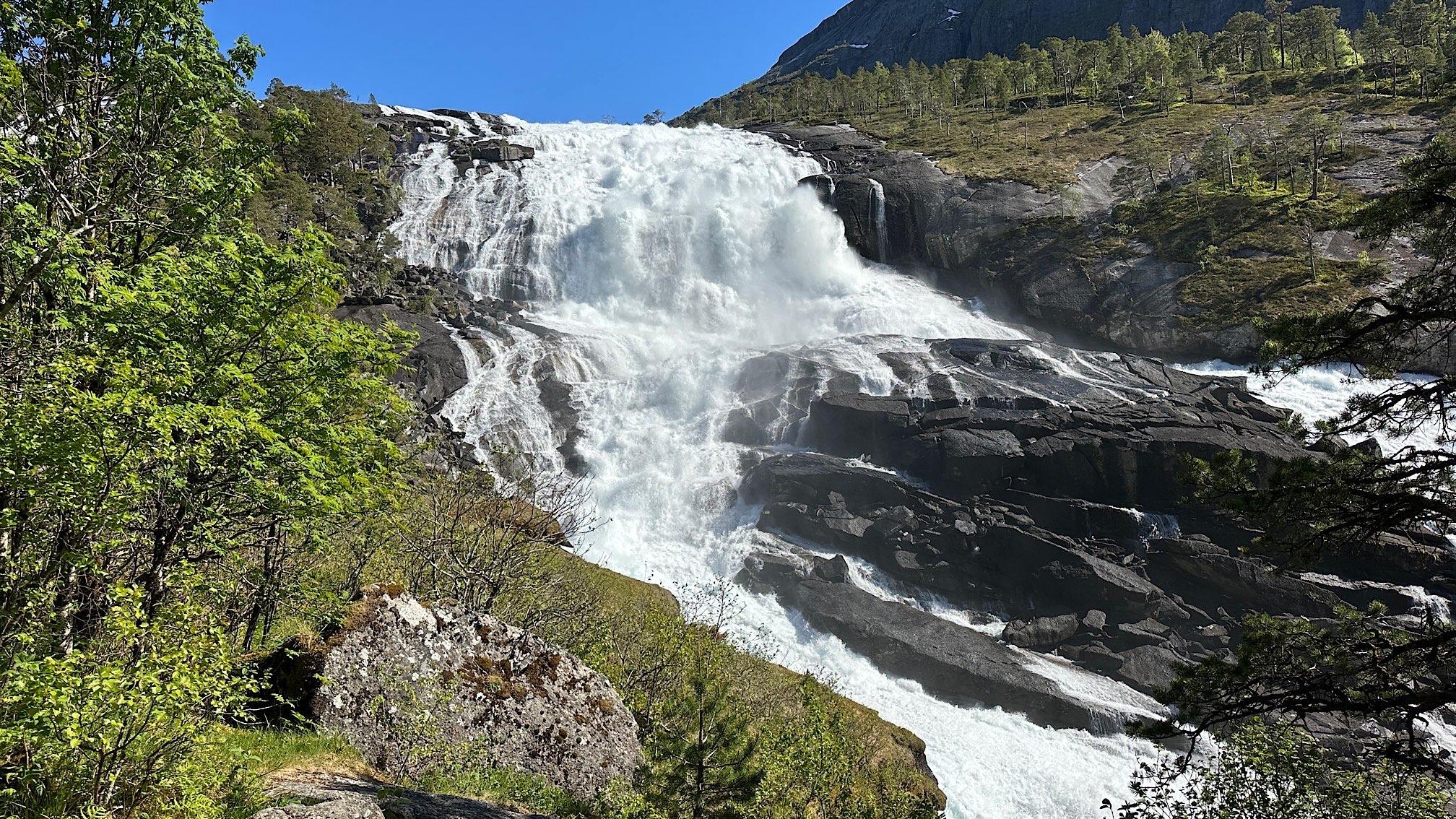 IMG_2025-06-27-205040561